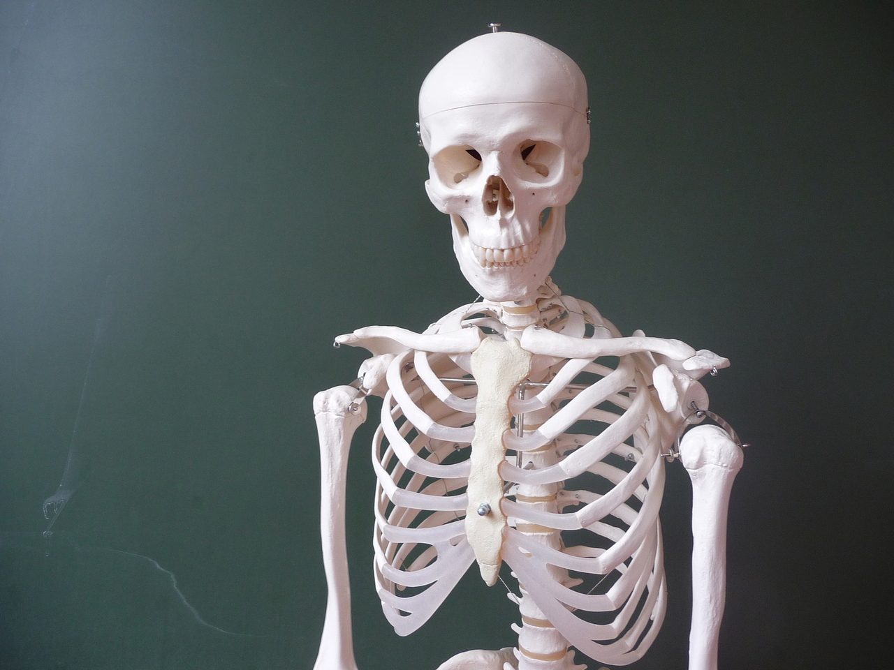 World Osteoporosis Day: Down to the Bone with TCM