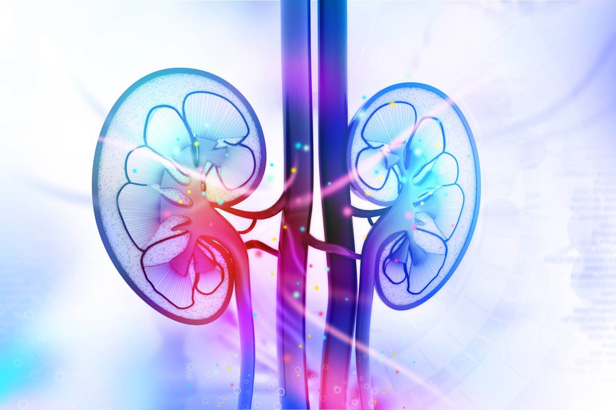 Kidneys in Balance: Activity & Rest in the Colder Months