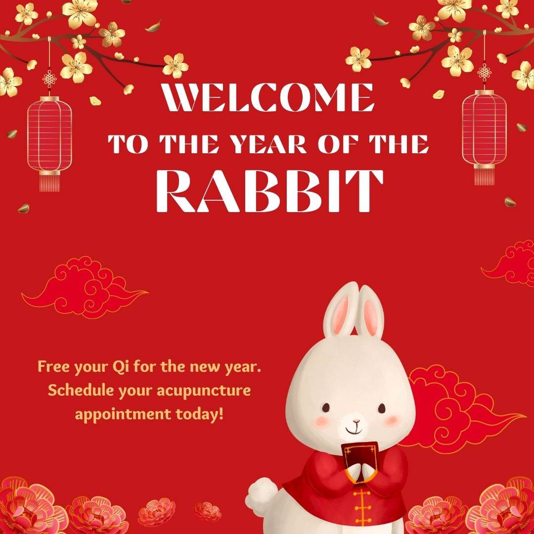 2023 Year of the Yin Water Rabbit